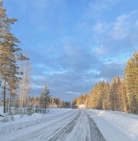 Lichtstimmung im winterlichen Schweden