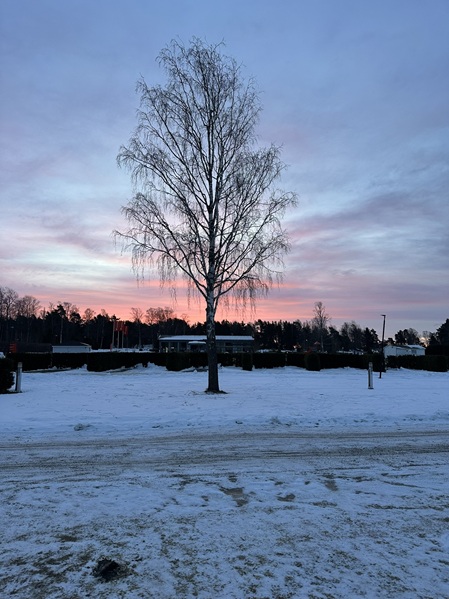 Abendstimmung auf dem FirstCamp Skutberget