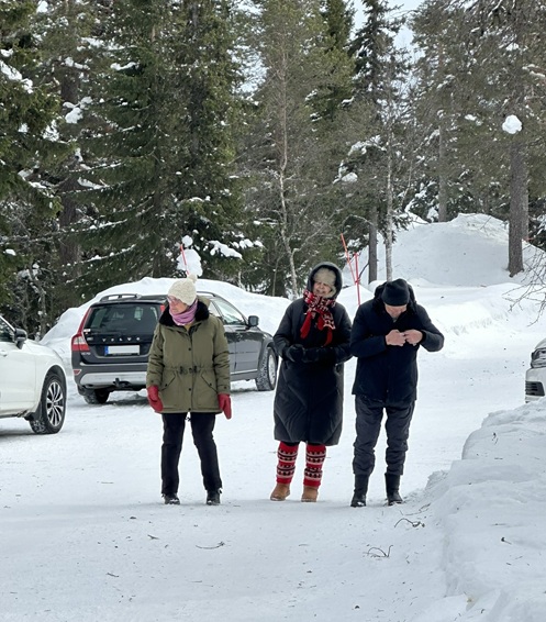 Parkplatz im Fulufjället Nationalpark