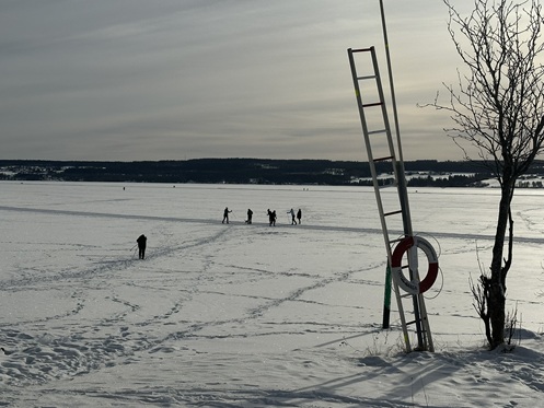 Blick auf den See Storsjön