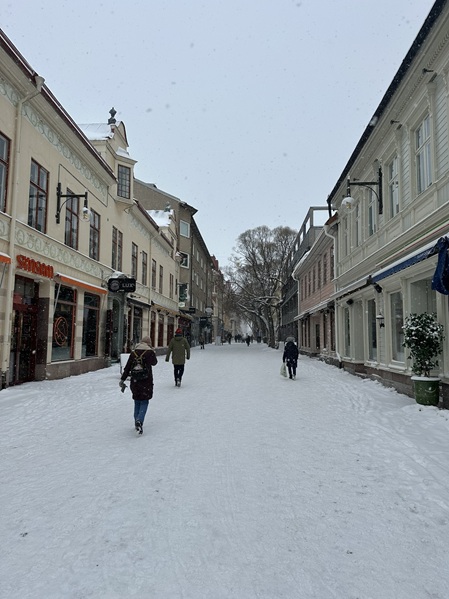 Einkaufstraße in Östersund