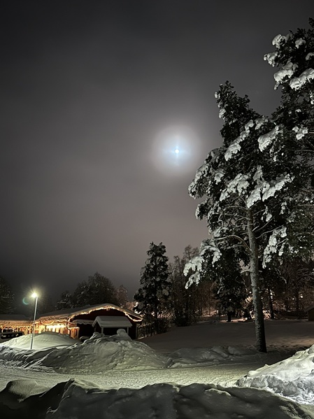 Der Vollmond in der kalten Winternacht