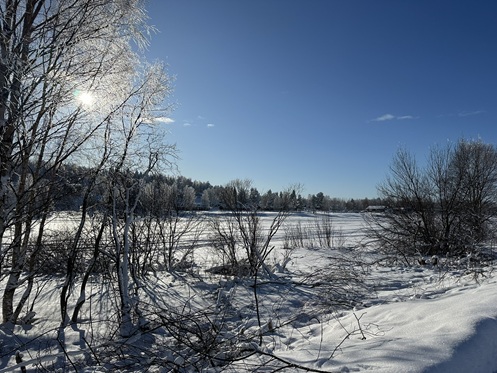 Winterliche Landschaft am Camping Norrsken Lodge
