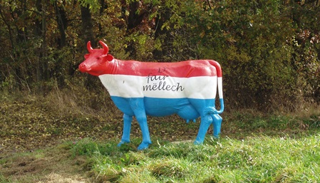 Kuh in Luxemburgfarben